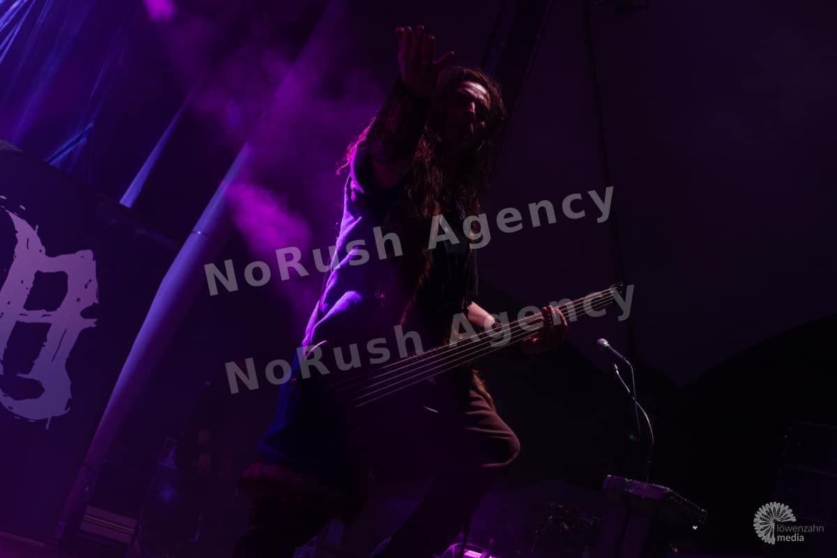 Wind Rose live in Gelsenkirchen, Foto 3 von Jan Haller